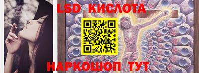 шишки Гатчина