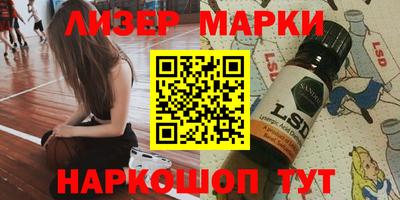шишки Гатчина