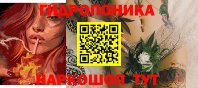 шишки Гатчина