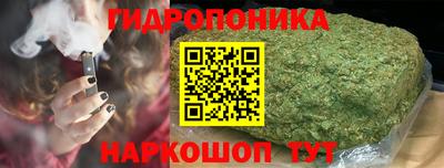 шишки Гатчина