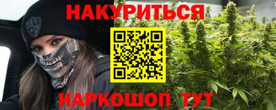 шишки Гатчина