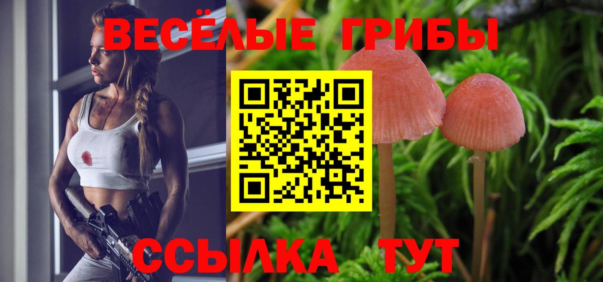 Галлюциногенные грибы Cubensis Орехово-Зуево