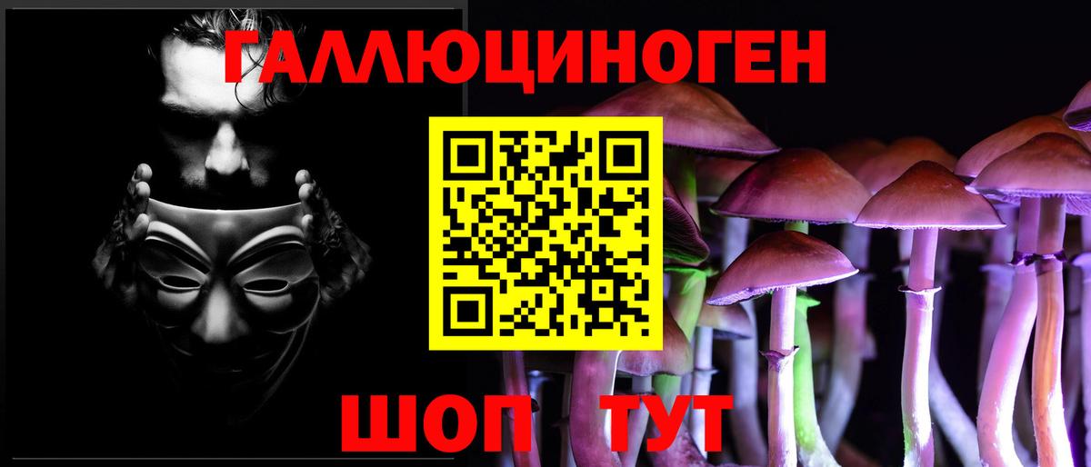 Орехово-Зуево  Псилоцибиновые грибы Cubensis  Вход с VPN 